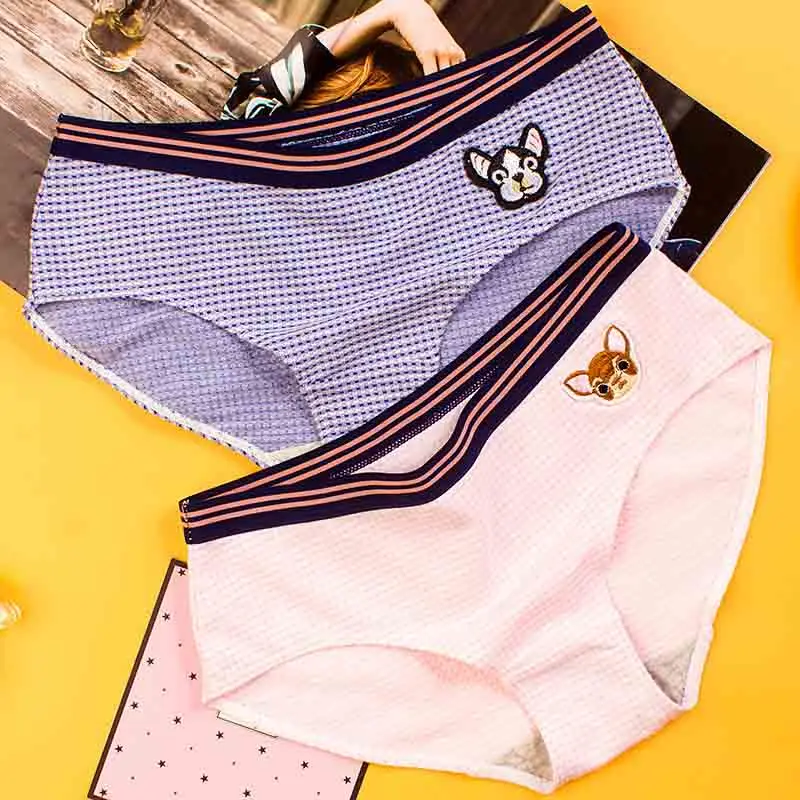 2019 милые трусики в форме треугольника женское хлопковое с мультяшным котом