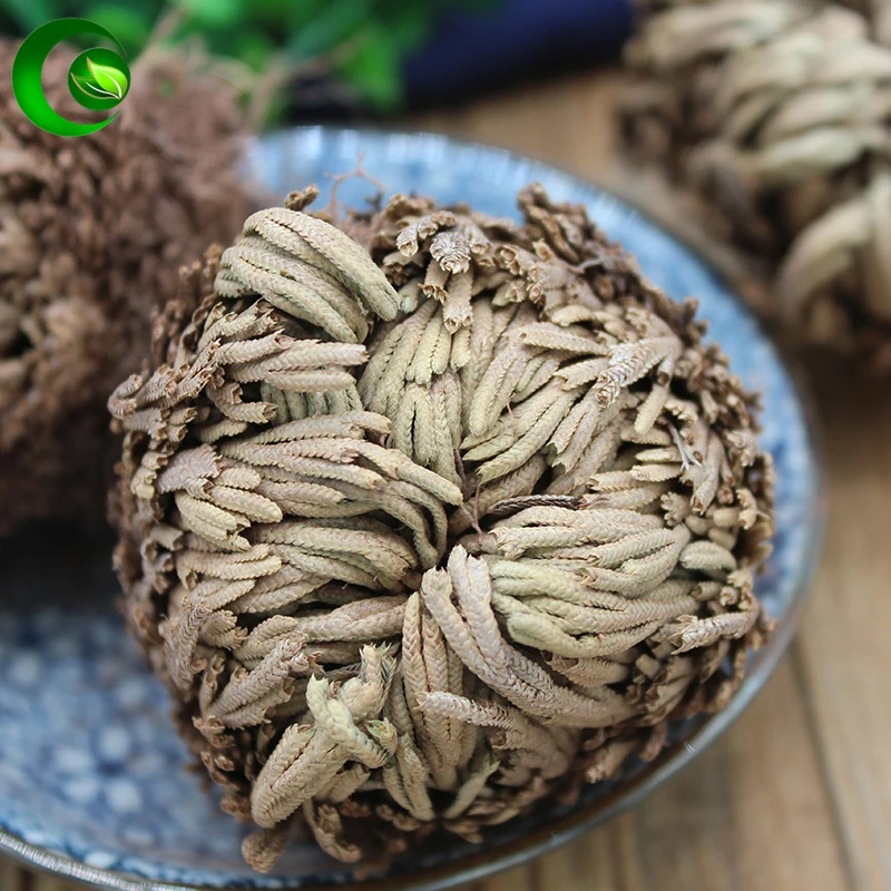 Сушеный цветок Fu Huo Cao волшебное восстанавливающее растение Роза динозавра