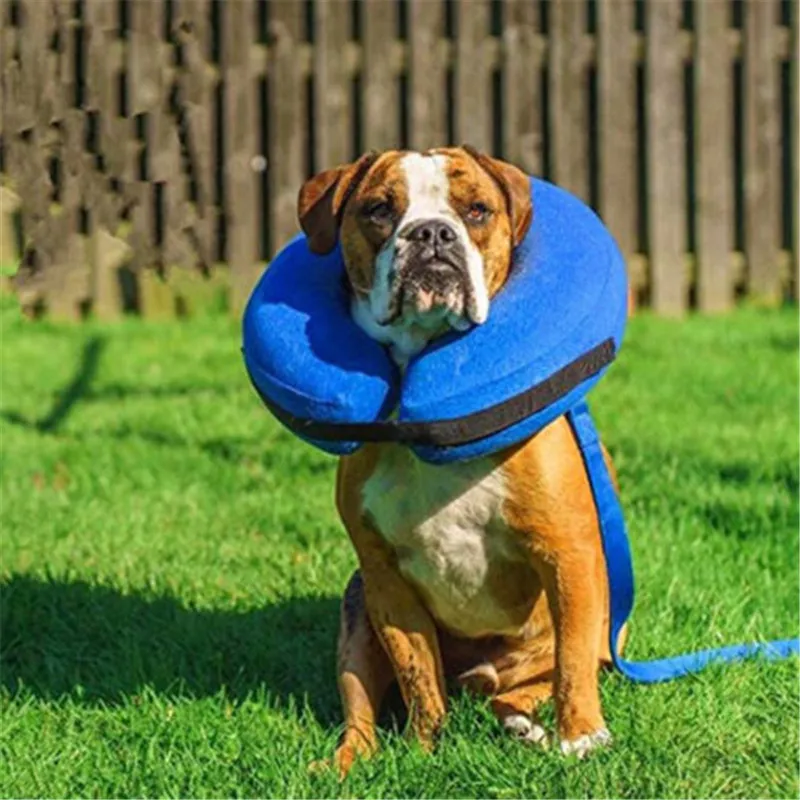 Medical Pet Collar Pets Dogs Cat Soft Comfortable Inflatable Collars E-Collar Protection Puppy Head Cone | Дом и сад