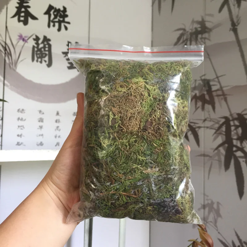 30 г/пакет натуральный зеленый МХ декоративная ваза для растений искусственный