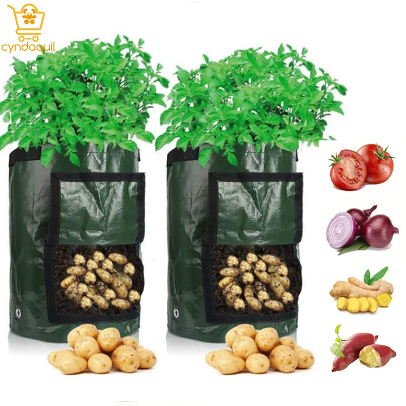 

Potato Grow Bag PE Vegetable Onion Plant Bag With Handle Mushroom Grow Kit Grape Bags for Grapes Farm for Bags for Vegetables
