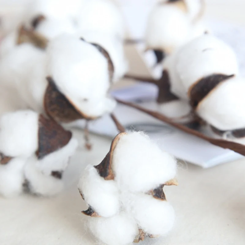 10 головок натуральный высушенный хлопковое с изoбрaжeниeм цвeтoв искусственная