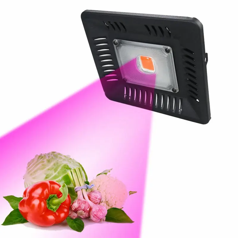 

Professional Light