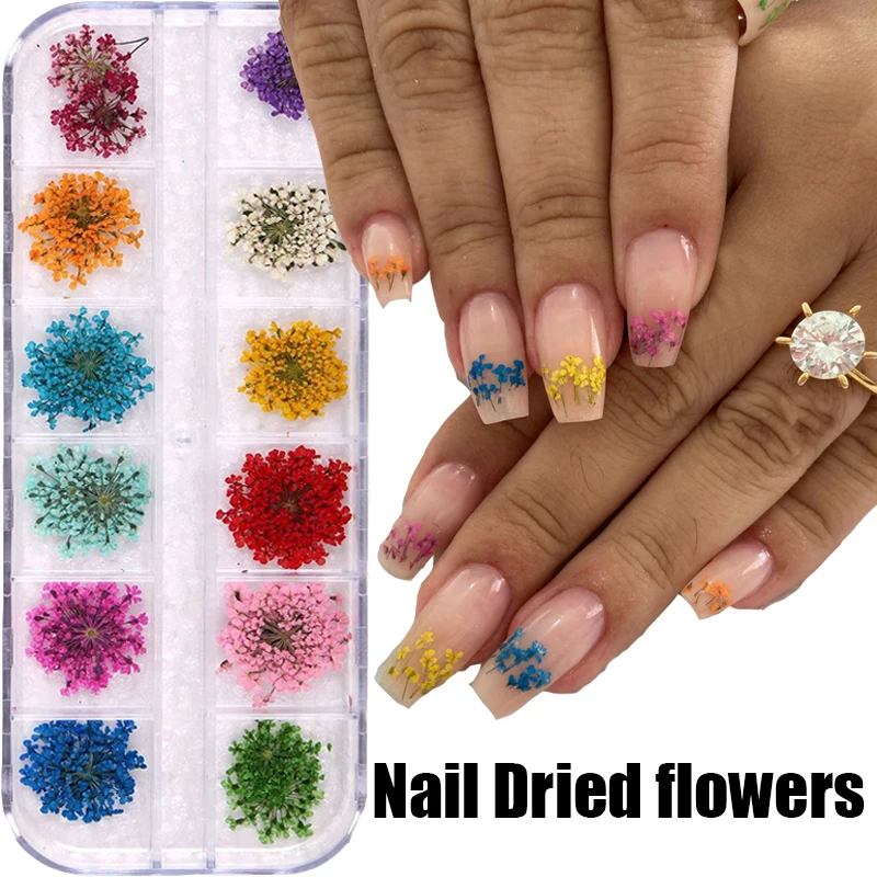 

12 Grid 3D Dried Flower Nail Art Decoration Natural Flower Sticker Mixed Dry Flower Nail Decals Jewelry UV Gel Polish Manicure