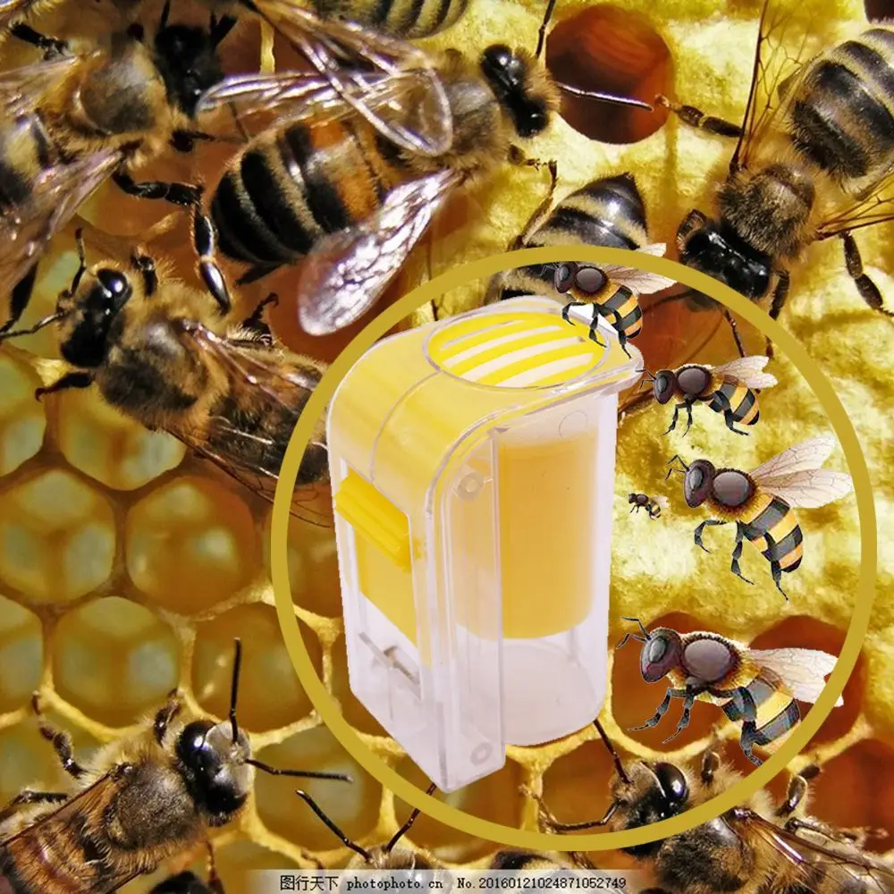 

Пластиковая пчеловодческая клетка для одной руки