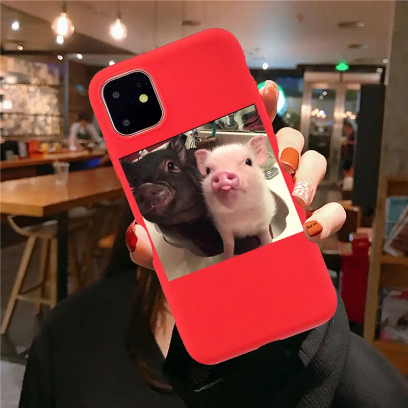 red TPU F3187 Забавный чехол для телефона с рисунком поросенка для iphone 11 Pro XS MaxX XR чехол для iphone 6 S 5 5S 7 8 plus Мягкий чехол милые Чехлы для пар - Цвет: red TPU F3187