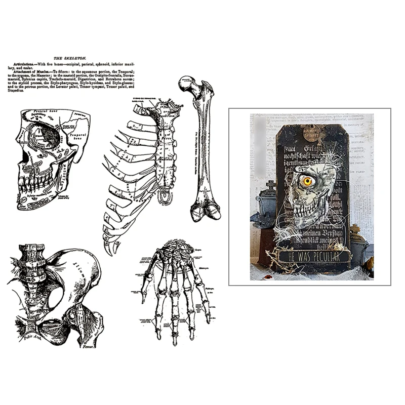 2021 новый скелет прозрачные штампы слова и рамка для скрапбукинга Хэллоуина