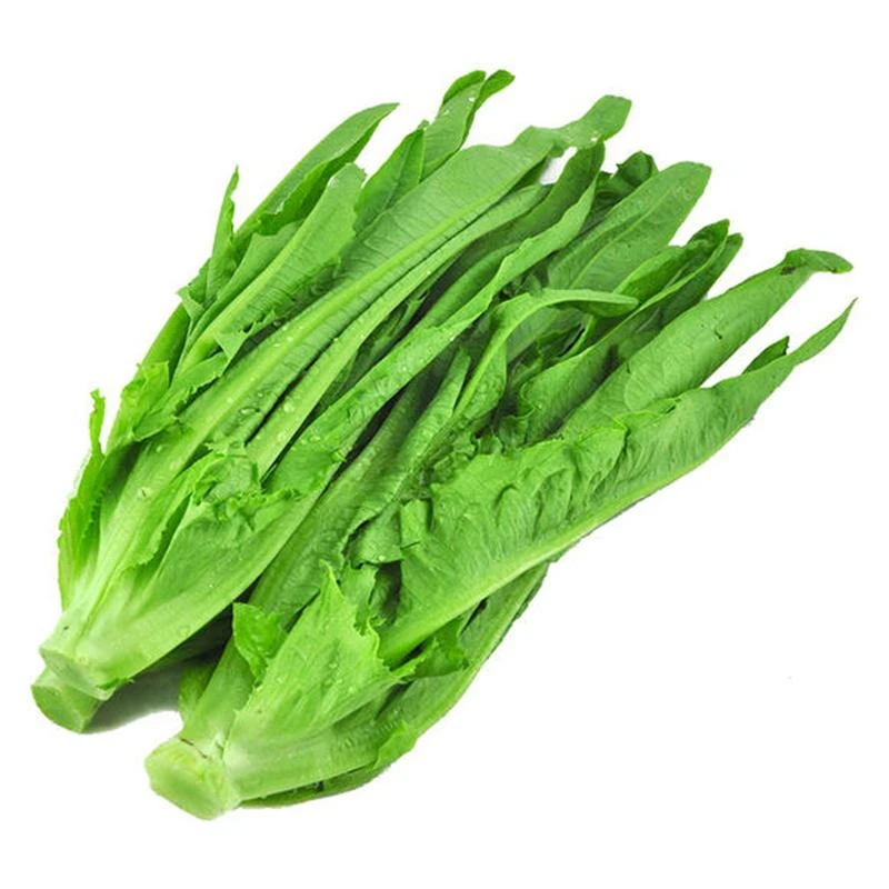 

100Pcs Lettuce Sauerkraut Seeds Bonsai Garden Nature Water Spinach Plants Home Romaine Lettuce Vegetables Essence Lip Mask SC8