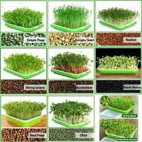 bean sprouts double layer dishes plate seedling tray plastic hydroponic flower basket flower plant home garden nursery pots