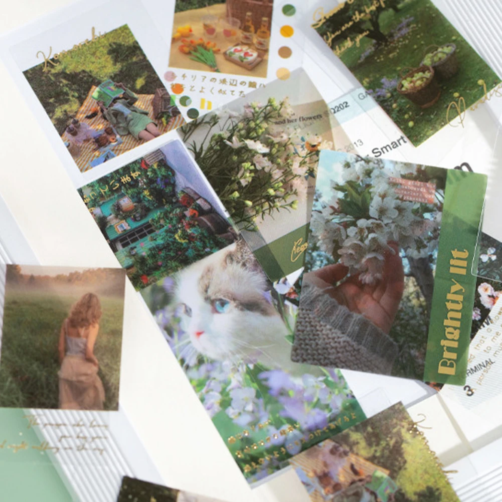 60 шт./компл. Ретро бумага Washi блокнот для записей остров розы сад пейзаж школьники