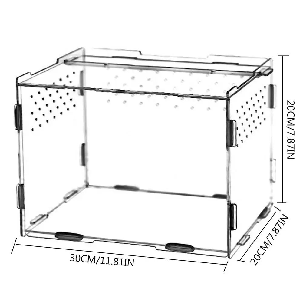 Acrylic Reptile Feeding Box Insect Lizard Spider Breeding Cage Hatching Container All-round Transparent |
