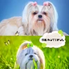 Изображение товара 5