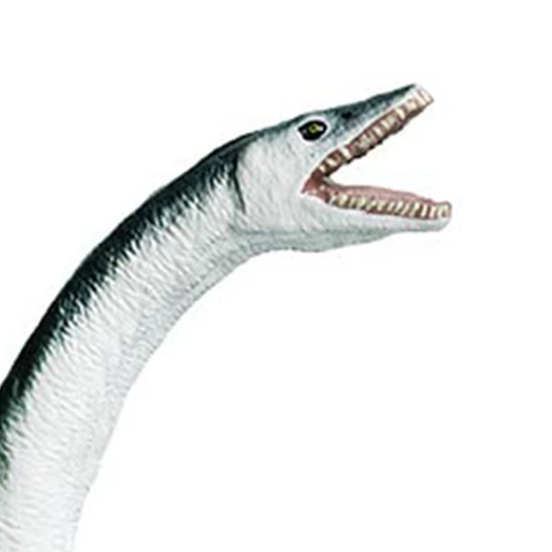

Simulation Marine Animal Model Ornaments Realistic Vinyl Plesiosaur Scene Props
