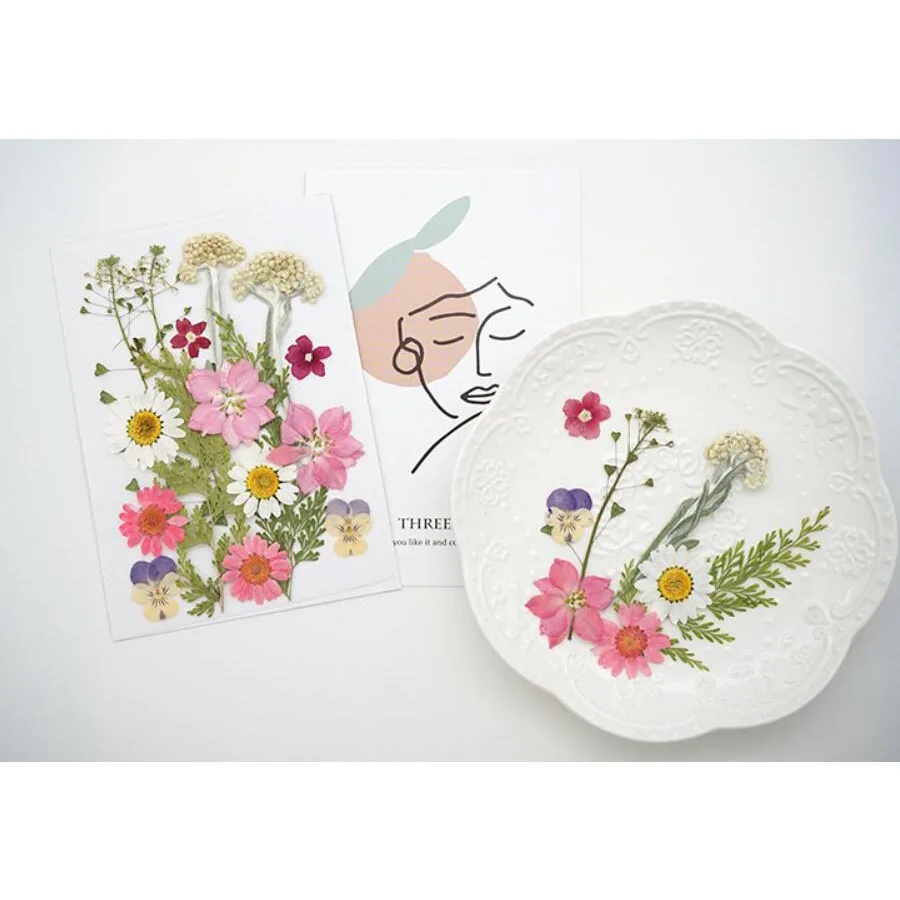 Микс сушеных прессованный цветок + лист гербарий из растений для Ювелирная