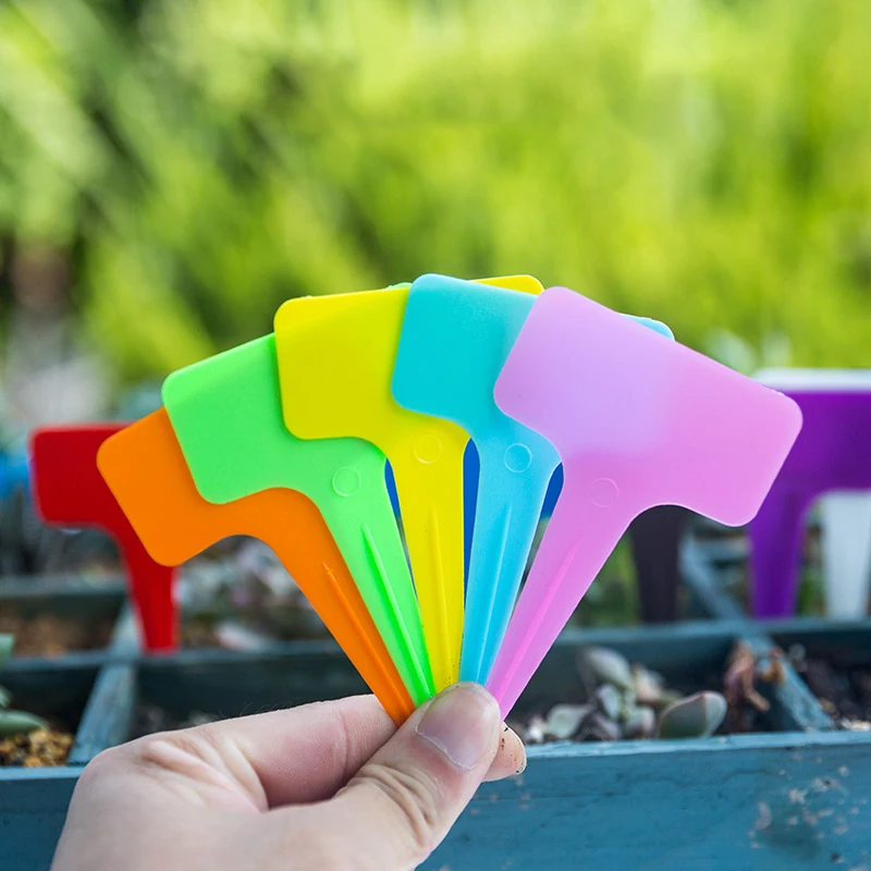 

Labels Plant Labels Plant Gardening Plastic Garden Outdoor Accessories