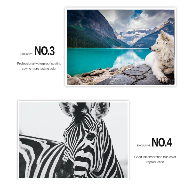 multiple styles 6 Inch Photo Paper For Canon Selphy CP Series CP900 CP910 CP1200 CP1300 CP1000 CP800 CP810 CP820 Printer | Компьютеры и