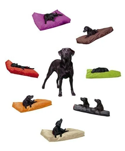 Красочные кровати для собак горячая Распродажа Лежанка домашних животных