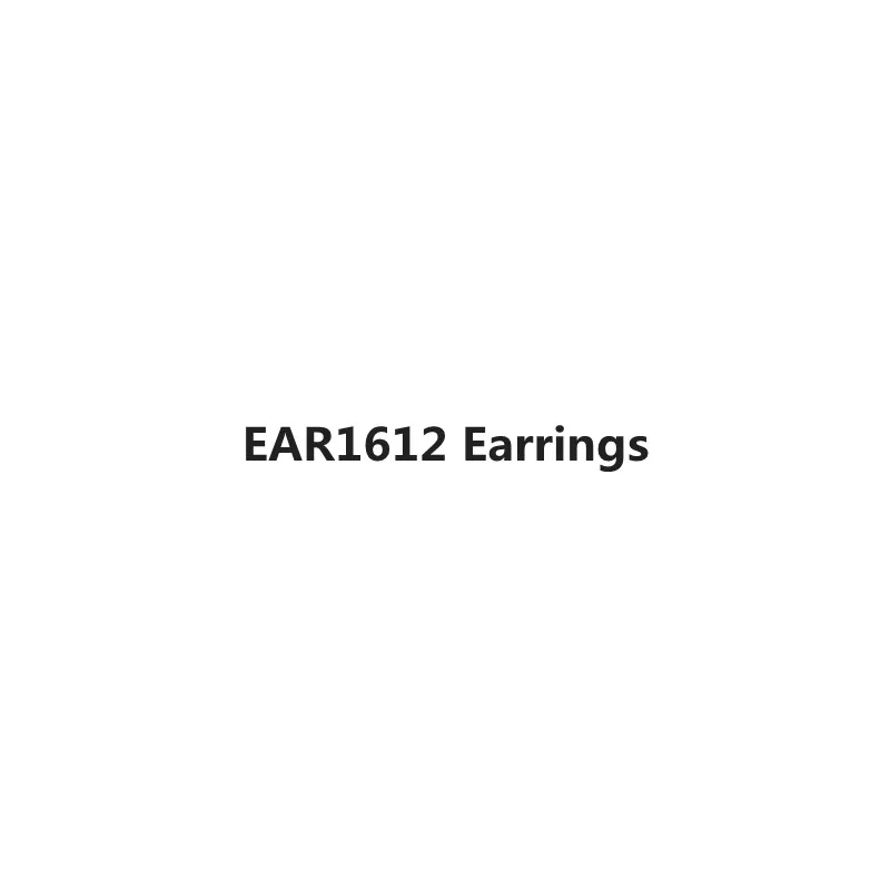 

EAR1612 Earrings Payment link