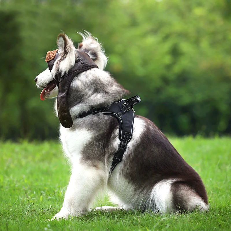 Новое поступление шапка для собак домашних животных сохранения тепла осенью и
