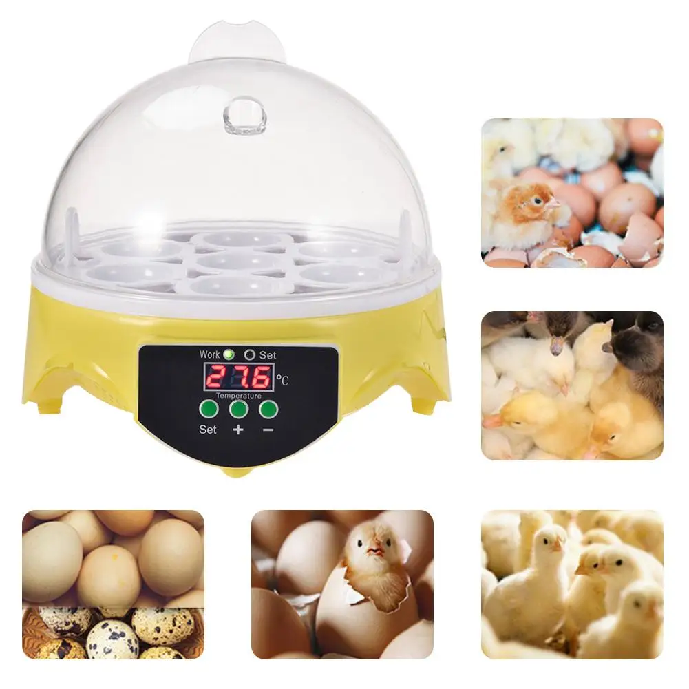 

Mini 7 Egg Incubator Poultry Incubator Brooder Digital Temperature Farm Hatchery Egg Incubator Chicken Duck Bird Pigeon Hatcher