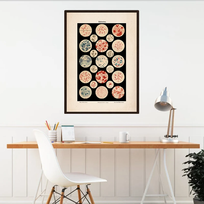 Микробиология бактерия микробов Картина на холсте настенное искусство