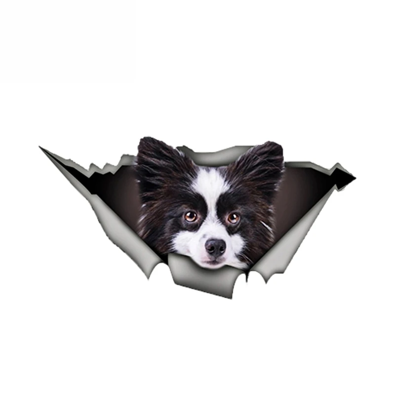 

Dawasaru Black and White Pomeranian Car Sticker Torn Metal Decal Reflective Stickers Waterproof Pet Car Styling 13cm X 7cm