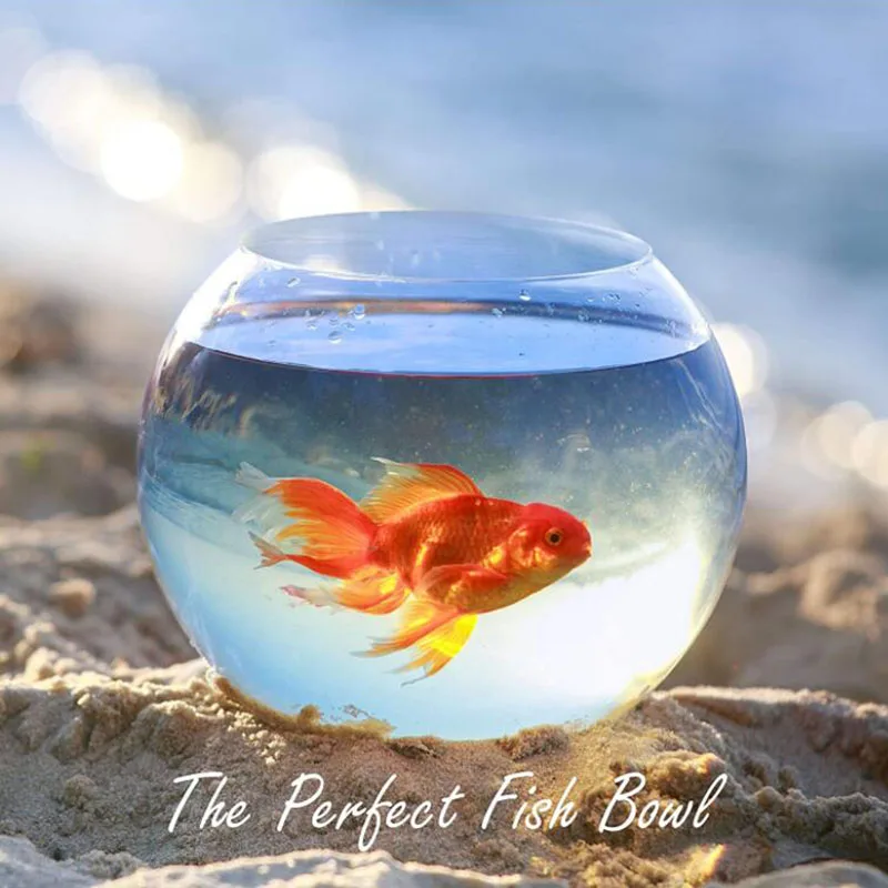 Декоративная стеклянная ваза домашний декор цветочный горшок украшение для