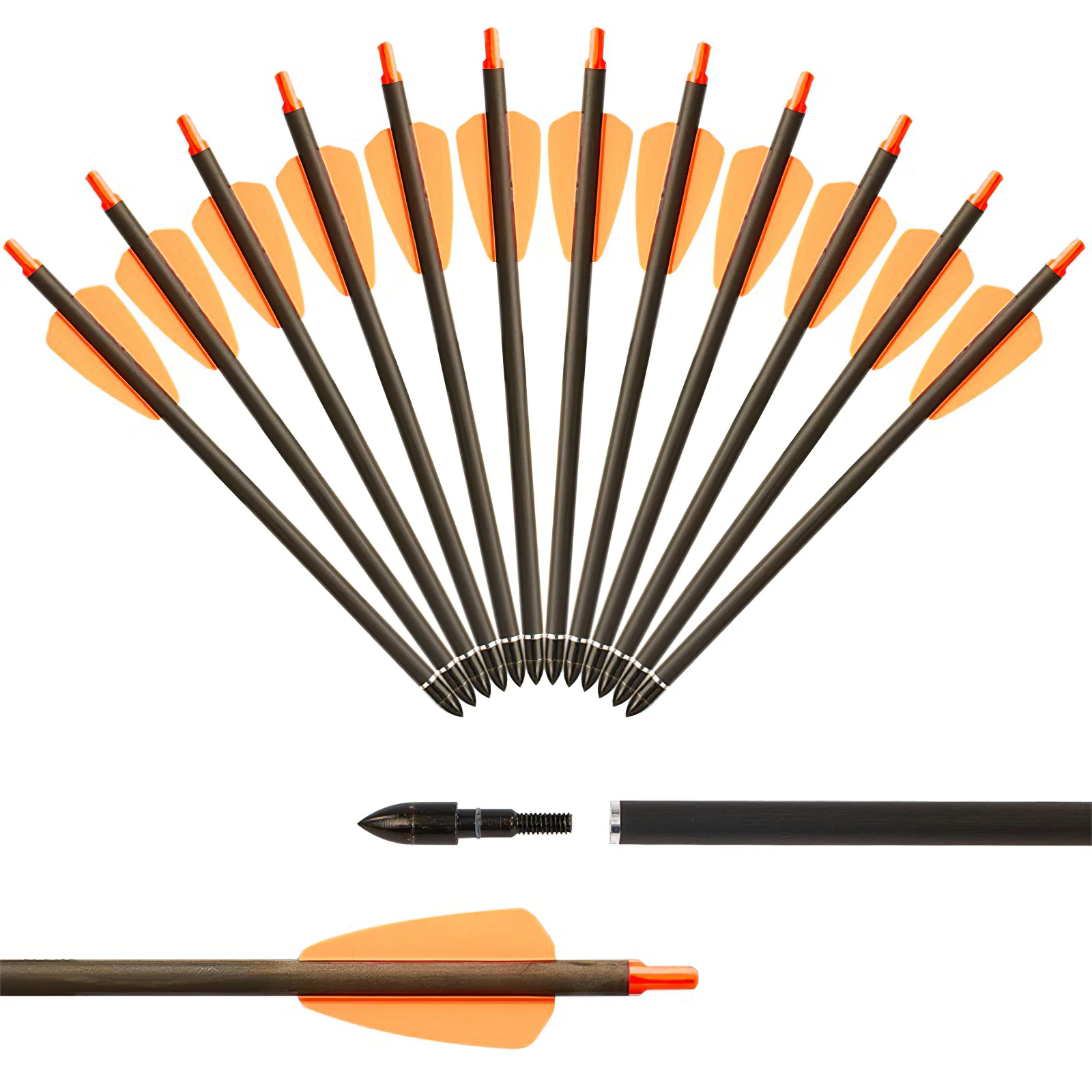 

12pcs 7.5inch Crossbow Bolt High Precision Carbon Arrow With 2inch Vanes And 100 Grain Removeable Tip For Outdoor Training