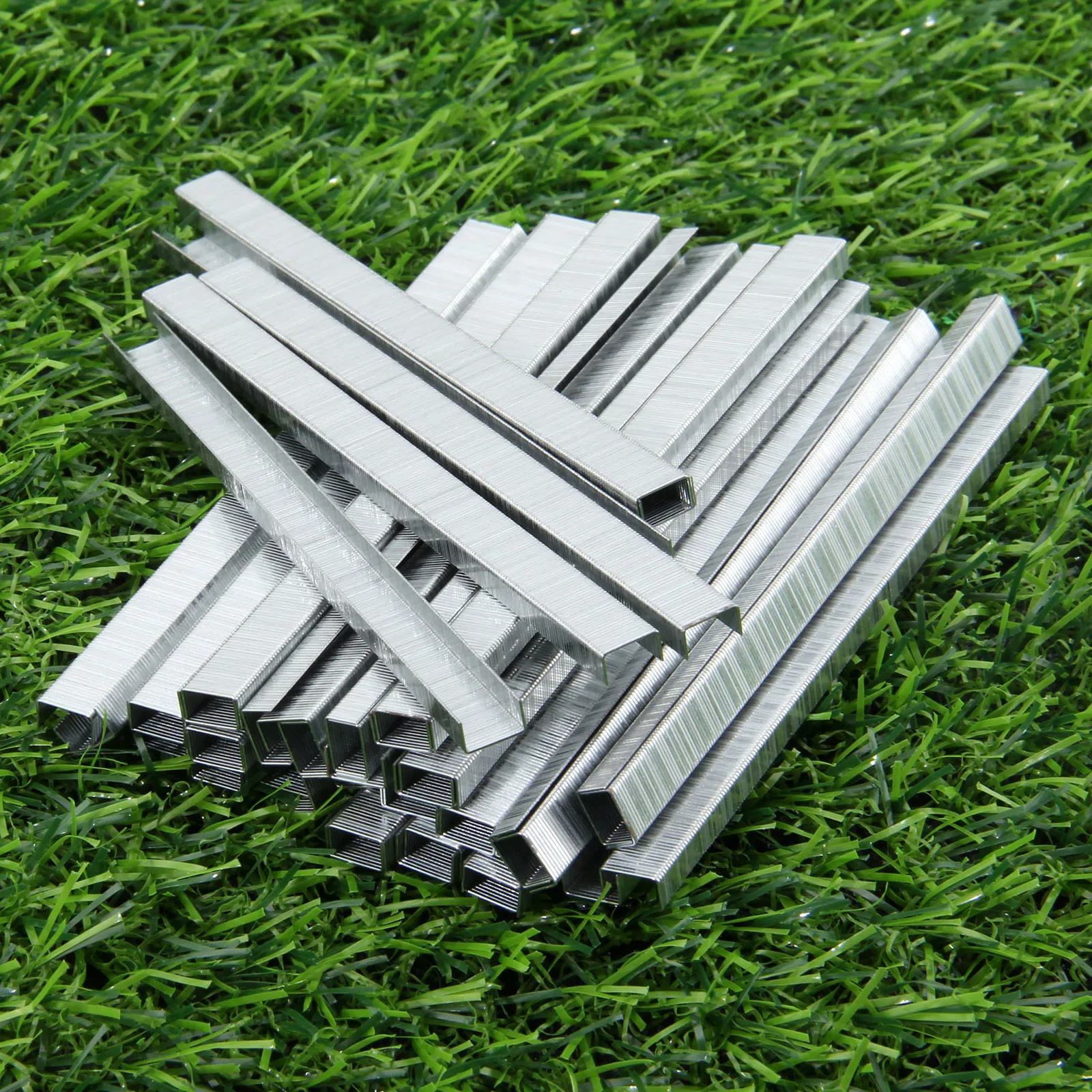 

1 Box of 10000Pcs 604C Carbon Steel Staples Nail Tape Tool for Flower Garden Grape Vine Tomato Cucumber Plants Vegetable Binder
