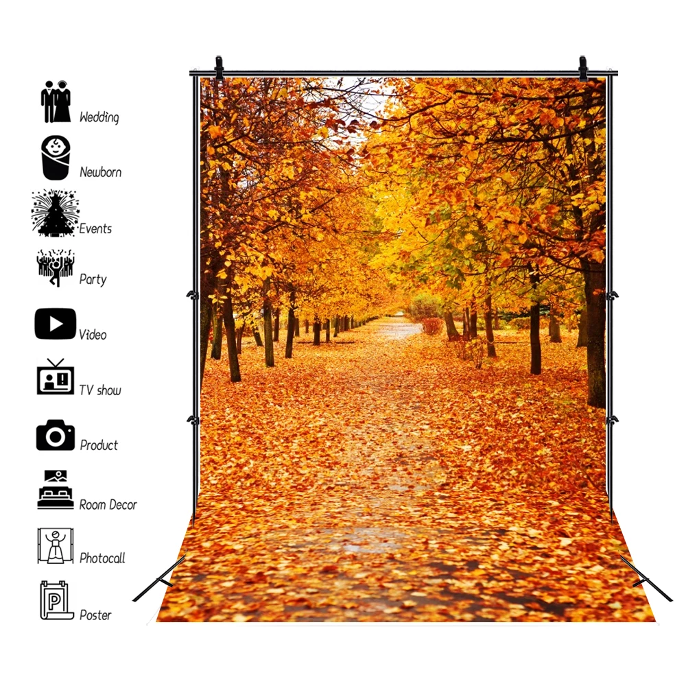 Laeacco осенние опавшие листья дерево клен путь живописные фотографии фон Индивидуальные фотографии фонов для фотостудии