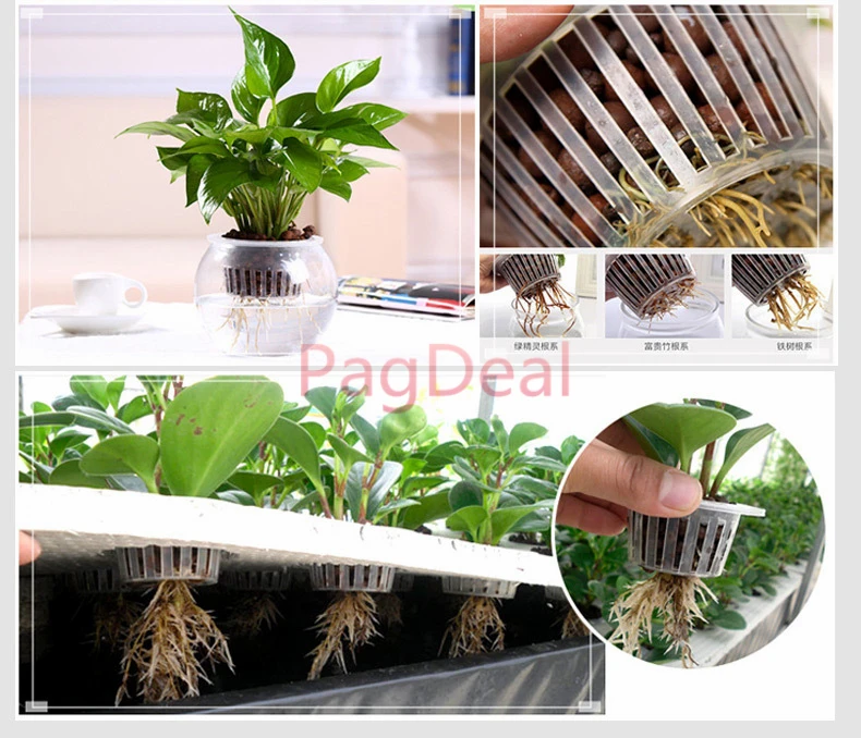 Большой горшок для выращивания растений корзина гидропонных защитная