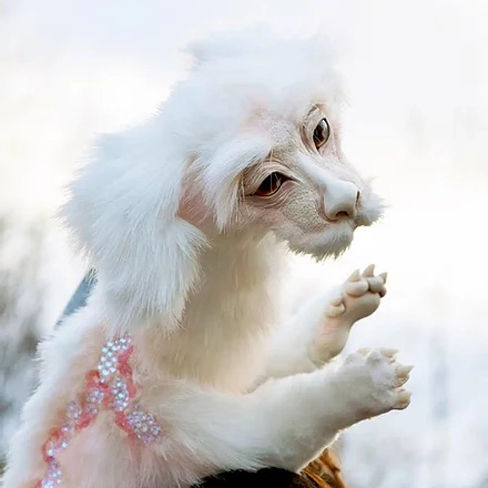 

Falkor из неистовчивой истории, плюшевая кукла, игрушки, подарок, украшение автомобиля, аксессуары для автомобиля, украшение автомобиля