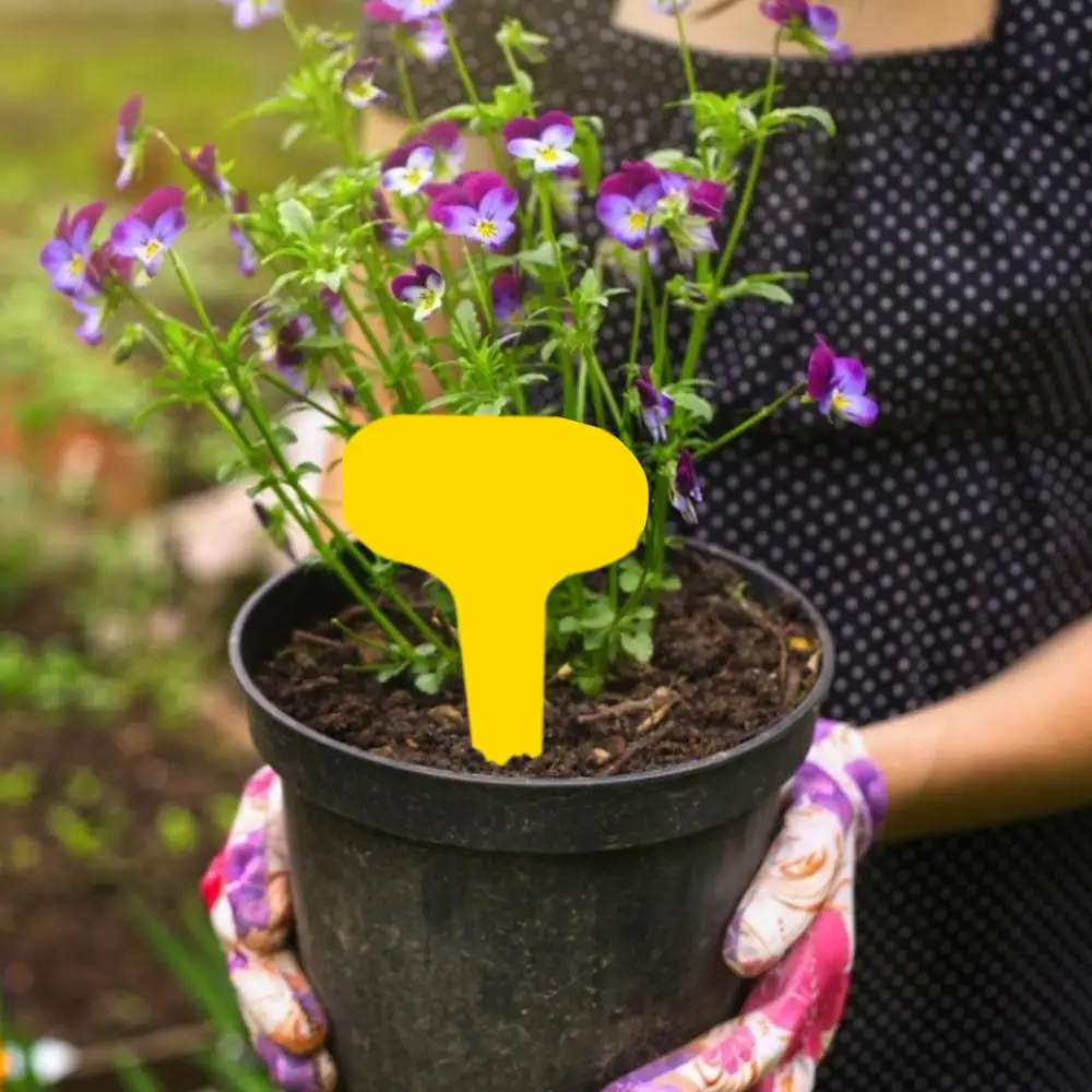 100 шт. Т образные пластиковые таблички для выращивания растений|Маркеры растений|