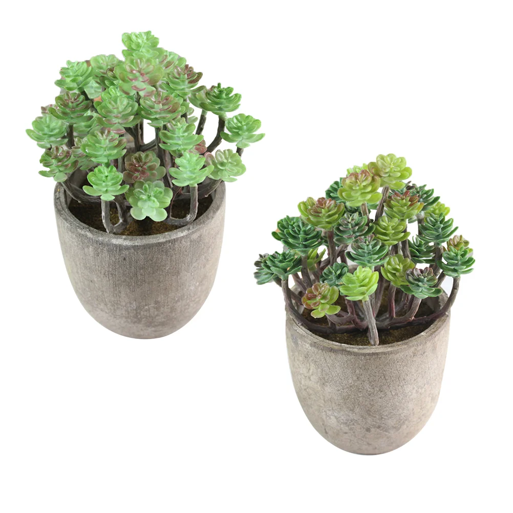 

Искусственные растения-суккуленты в стиле ретро, 2 шт.