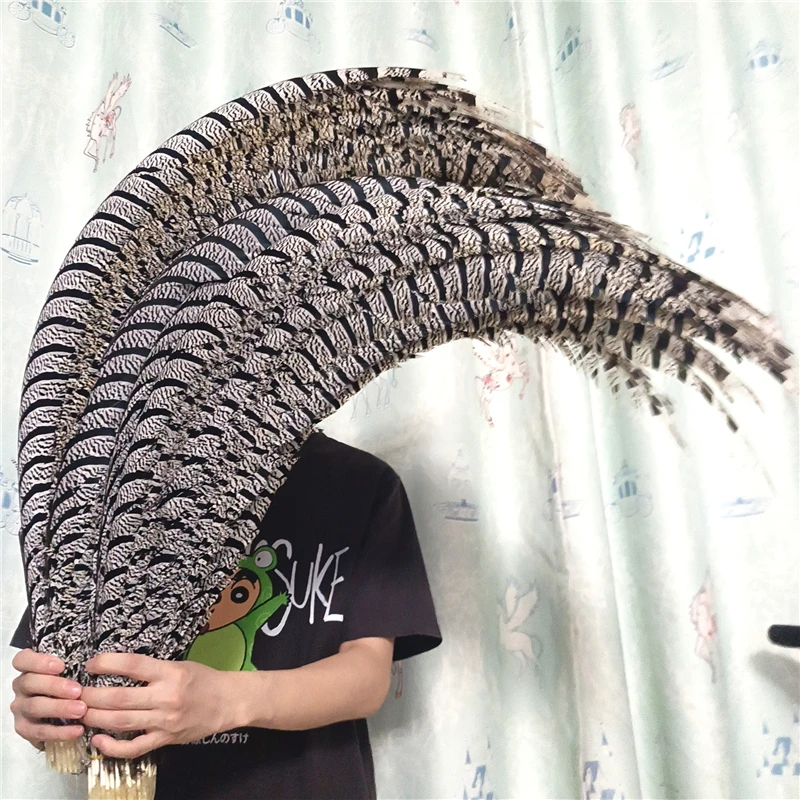 

32-40'' (80-100CM) Long Natural Zebra Lady Amherst Pheasant Feathers for Crafts Carnival Big Feather Decor Diy Plumes Decoration