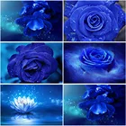 5D алмазная живопись цветок наборы для вышивки крестиком полный квадрат дрель голубая Роза узор Алмазная вышивка DIY алмаз искусство домашний декор