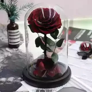Deep red 11 цветов, Красавица и чудовище, красная Праздничная Роза в стеклянном куполе, свежие цветы на День святого Валентина, подарок на Рождество - Цвет: Deep red