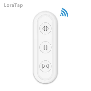 Электрический роликовый затвор с дистанционным управлением, RF Wi-Fi занавеска, сенсорный переключатель, приложение с таймером, голосовое управление, Google Home, Alexa Echo Tuya Smart