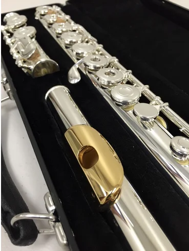 

Music Fancier Club Professional Flute 461 Silver Plated Flute Gold Plated Lip Plate B Leg Open Close Holes 17 E Key