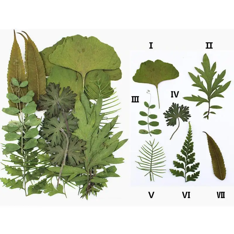 1 сумка настоящие сухие цветы растения для лампы в форме свечи эпоксидная смола