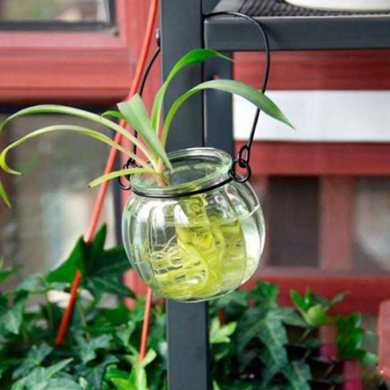 Стекло ящик для комнатных растений прозрачный тыквы Форма ваза гидропоники