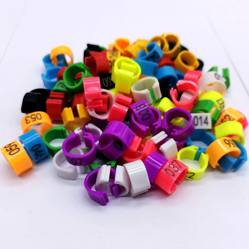 

100Pcs 8mm Multicolor Pigeon Foot Ring With Word Earrings Quality Durable Bird Ring Racing Pigeon Foot Ring Bird Tools Wholesale