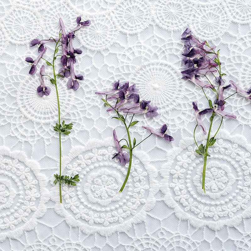 

60pcs Pressed Dried Flower Corydalis decumbens With Stem Herbarium For Nail Art Jewelry Bookmark Phone Case Invitation Card DIY
