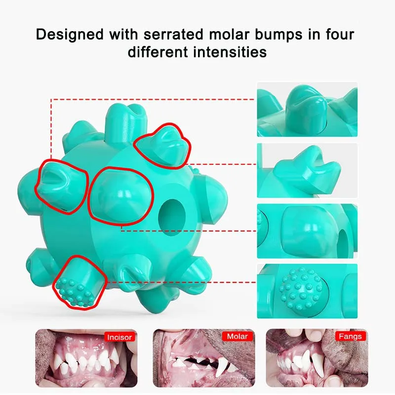 Портативная эластичная веревка для домашних питомцев 2 в 1 молярный поводок