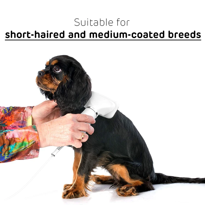 Benepaw 2 In 1 Dog Dryer Hair Blower Slicker Brush Adjustable Temperature Low Noise Fit Short Haired Medium Coated Pet Cats | Дом и сад