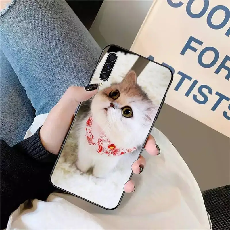 

Animal Cat cute pattern mobile Phone Case For Samsung galaxy S 9 10 20 A 10 21 30 31 40 50 51 71 s note 20 j 4 2018 plus