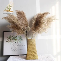 pampas grass decor plume length 10 14 inches fluffy flowers wedding flowers dried bouquets shop home decor with plastic vase