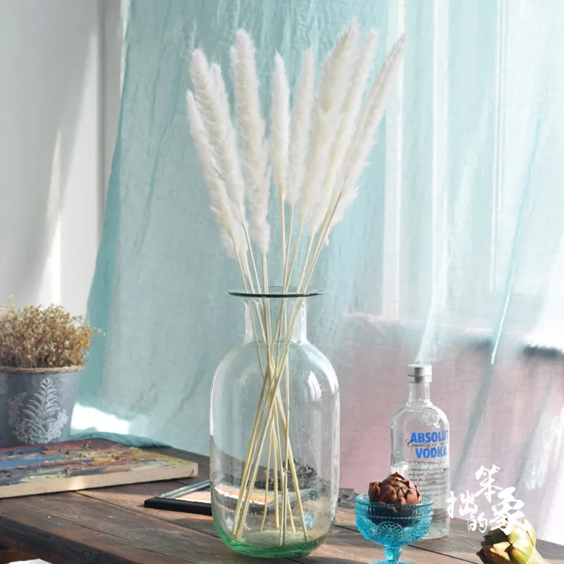 

Bulrush Natural Dried Flowers Artificial Plants Branch Colorful INS Pampas Grass Phragmites Fake Flower Wedding Home Decoration