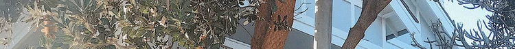 Корейское модное осенне-зимнее платье-свитер женское Повседневное платье с капюшоном длинный рукав с разрезом сбоку длинный с капюшоном ребристый трикотажный платье