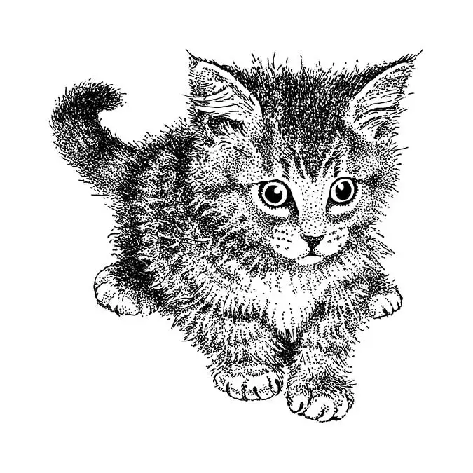 Прозрачный силиконовый штамп с кошкой/печать для скрапбукинга своими